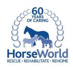 935462_497673443620083_1956410066_n