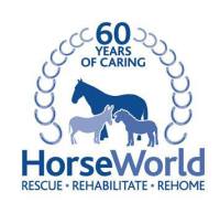 935462_497673443620083_1956410066_n