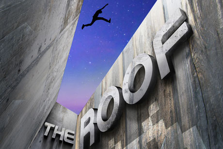 The-Roof (1)