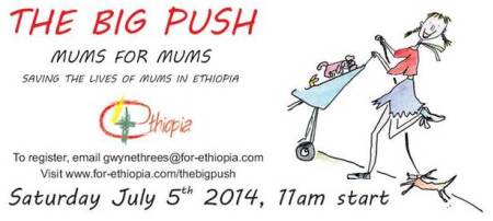 Big-Push-Banner-Twitter