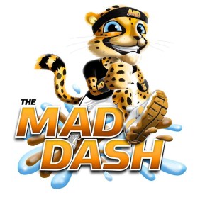 Mad Dash Cheetah (2)