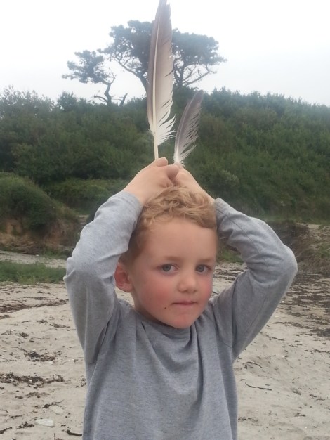 taius_feather_serious
