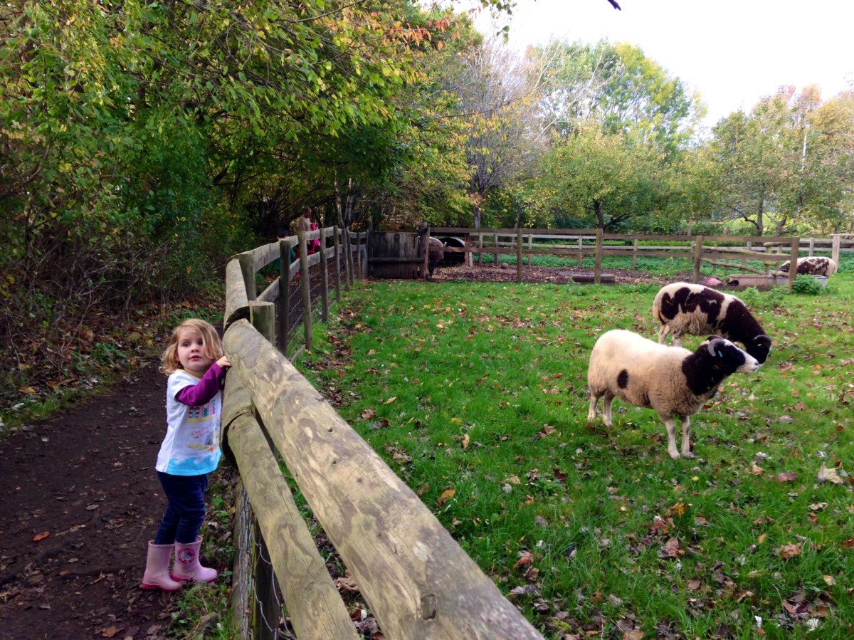 Windmill Hill City Farm Philip Street Bedminster Bristol
