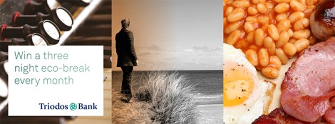 725593_8e4dbcfe00aa605a548524efdf7537c1