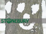 stonebury-winter-candlelight-main
