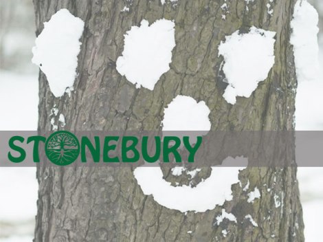 stonebury-winter-candlelight-main