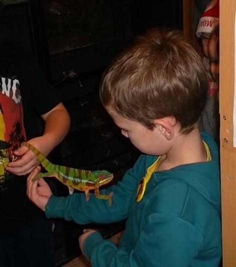 12367089_10156441619240454_359535719_n