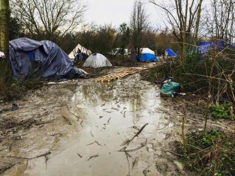 12512540_1539592776352893_3981956712511308424_n