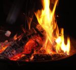 12341319_969165166464326_483086628413037678_n