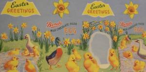 12523179_876595832458080_9194112701543959776_n