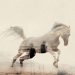 Into The West_image by Farrows Creative