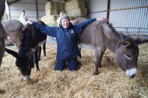 12631364_921544434566313_2605156694873784084_n