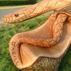 Photo credit Andy O'Neill 12243068_1674474956139780_8931882788541643432_n