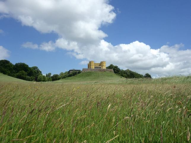 Photo credit Friends of Stoke Park Estate 13245316_1702357593351516_3541311658418098661_n