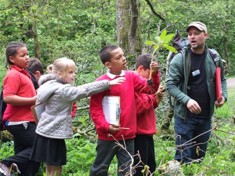 BioBlitz 2015 children