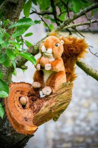 13653226_1059024577518609_8248777541728507174_o