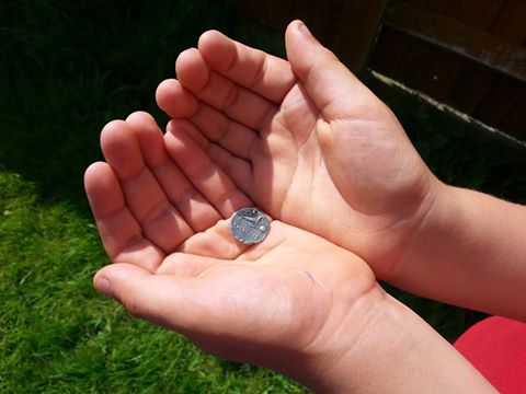 13692676_301140040232079_4410813992808057969_n