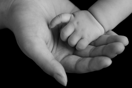 13119108_555250637969878_3887730318006318546_n