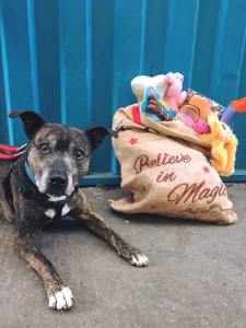 14947515_1094058230647998_1800240520688998139_n