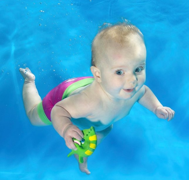 15822619_1452982868067843_3015801027153924823_n