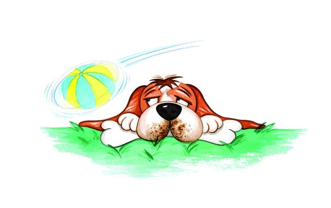 thumbnail_go-fetch-dpsr