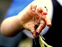 11406823_822379907846475_619778995096185827_n