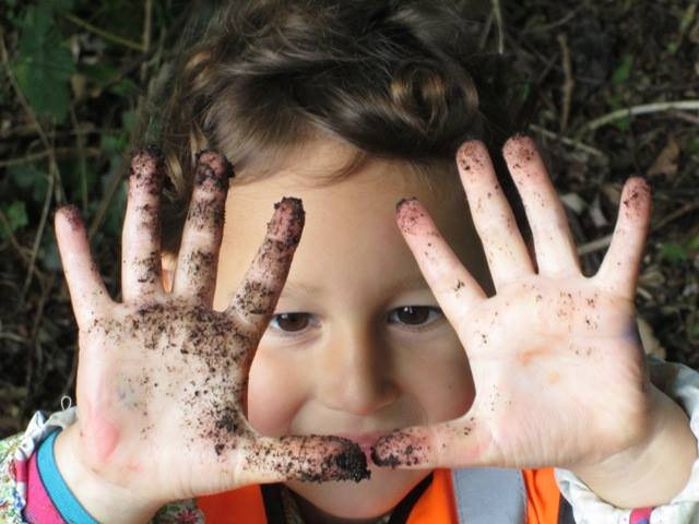 16142448_1233211493429979_6341227282867083262_n