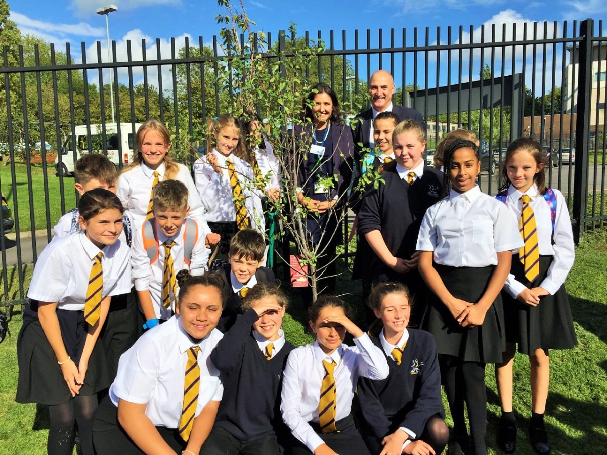 year-7-students-at-fairfield-high-school-put-down-roots-at-tree