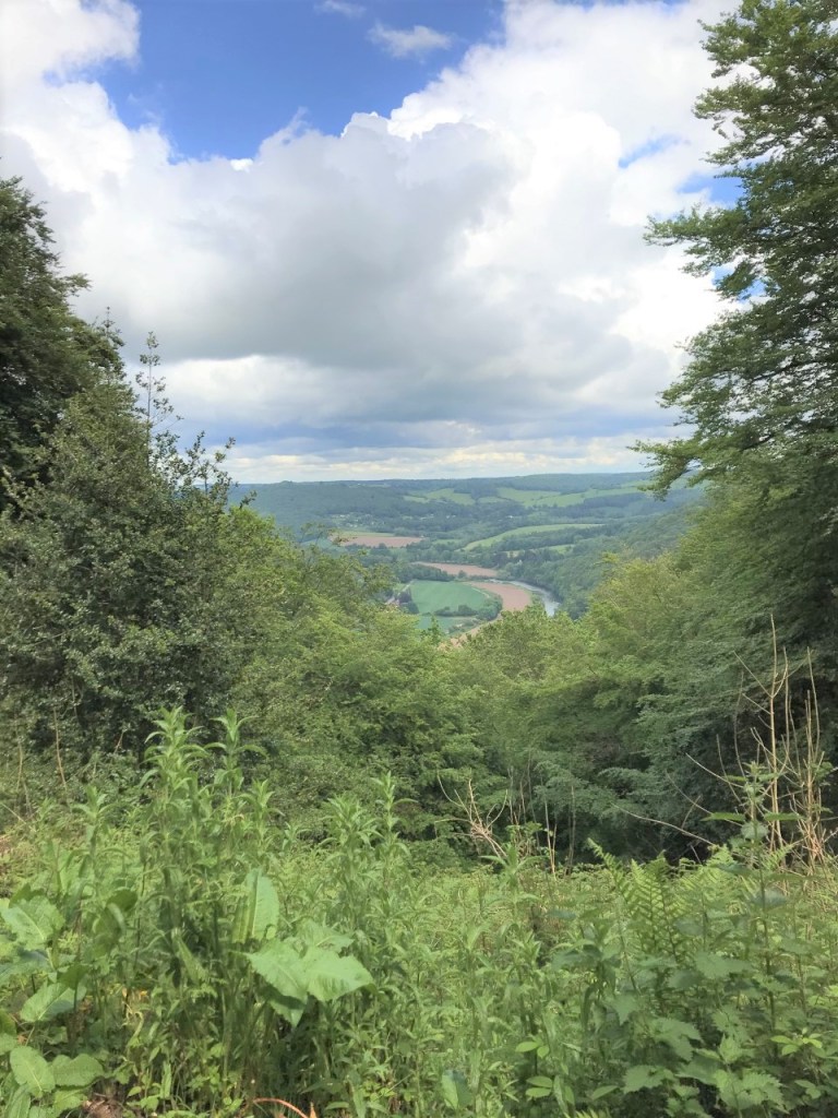 This image has an empty alt attribute; its file name is thumbnail_img_1938.jpg